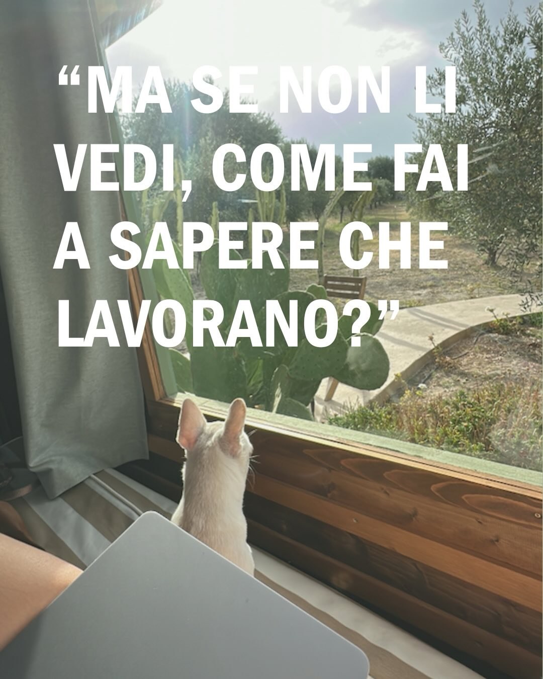 Dove ha sede Novia? Dove serve